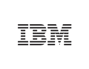 IBM is Comm100's partner