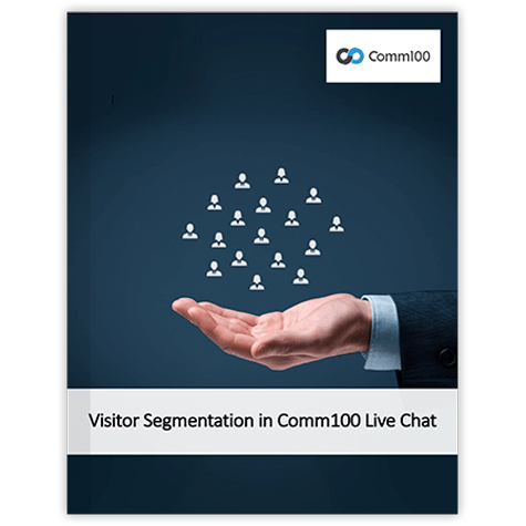 White Paper Visitor Segmentation