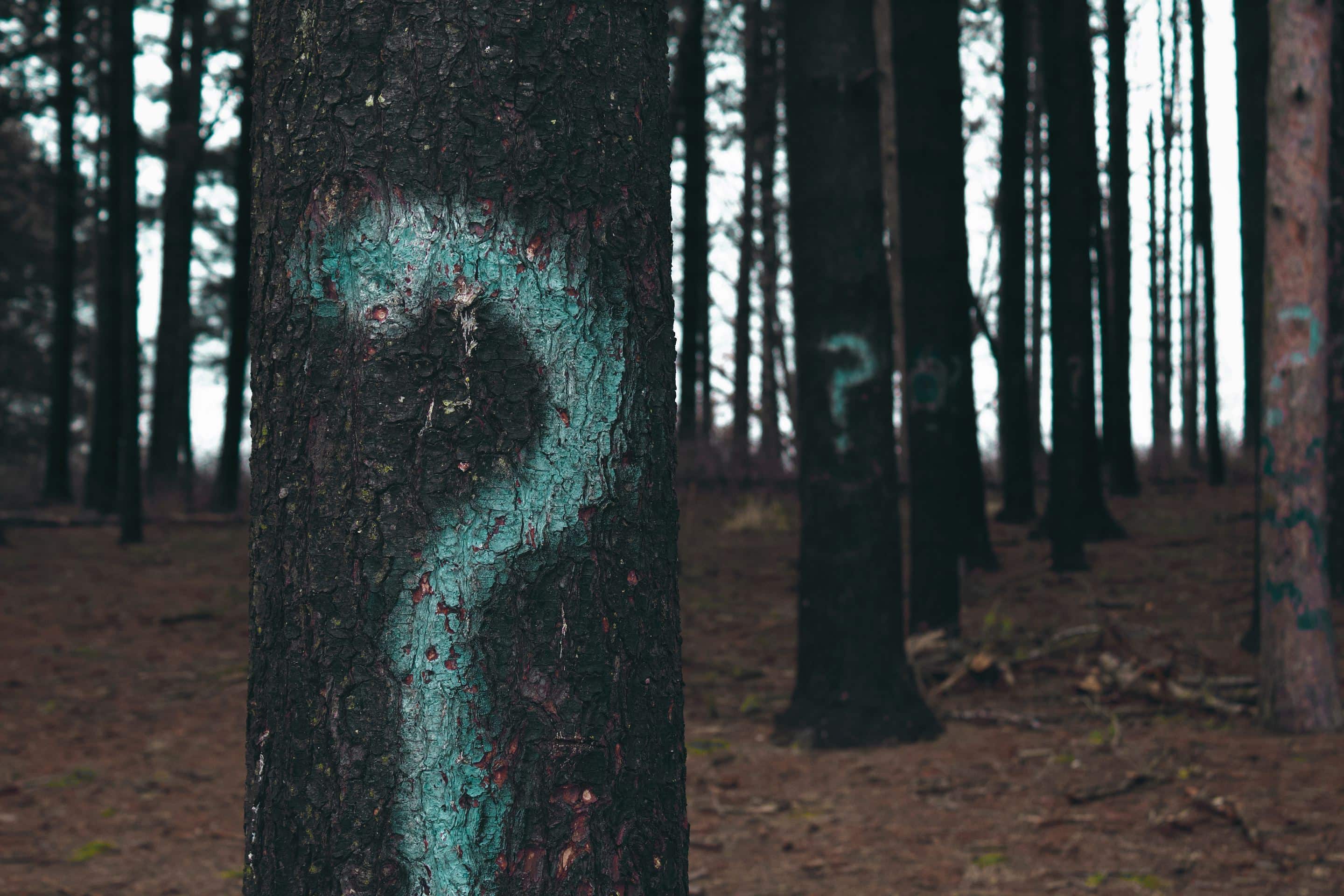 30 empathy statements phrases that show customers you care empathy statements call center